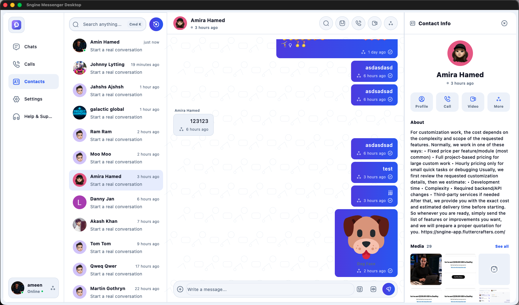 Sngine Pro Messenger Desktop (Windows / macOS / Linux) preview